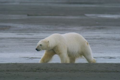 Galerie zur Sendung „OceanXplorers - Geheimnisse der Ozeane“: Bild 1