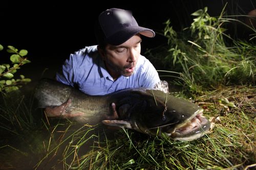 Auf der Suche nach dem Monsterfisch