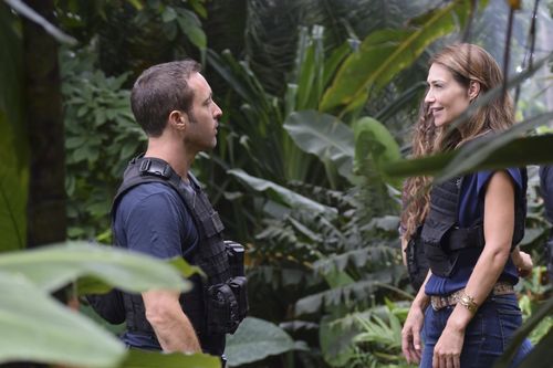 Galerie zur Sendung „Hawaii Five-0“: Bild 1