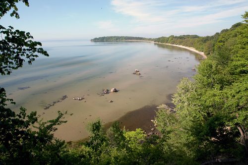 Galerie zur Sendung „Wilde Ostsee“: Bild 1