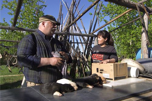 Yukon Men - Überleben in Alaska