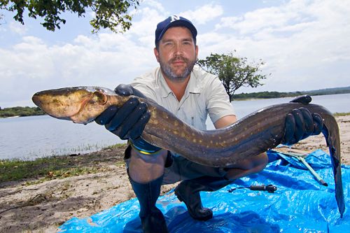 Galerie zur Sendung „Auf der Suche nach dem Monsterfisch“: Bild 1