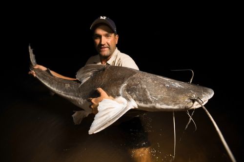 Auf der Suche nach dem Monsterfisch