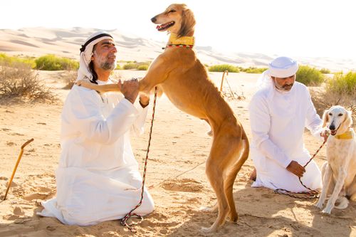 Galerie zur Sendung „Der Hund - Des Menschen bester Freund“: Bild 1