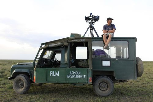 Wanderungen im Tierreich