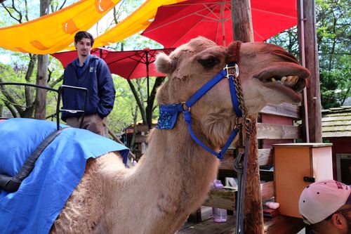 Bronx Zoo - Tierpark der Superlative