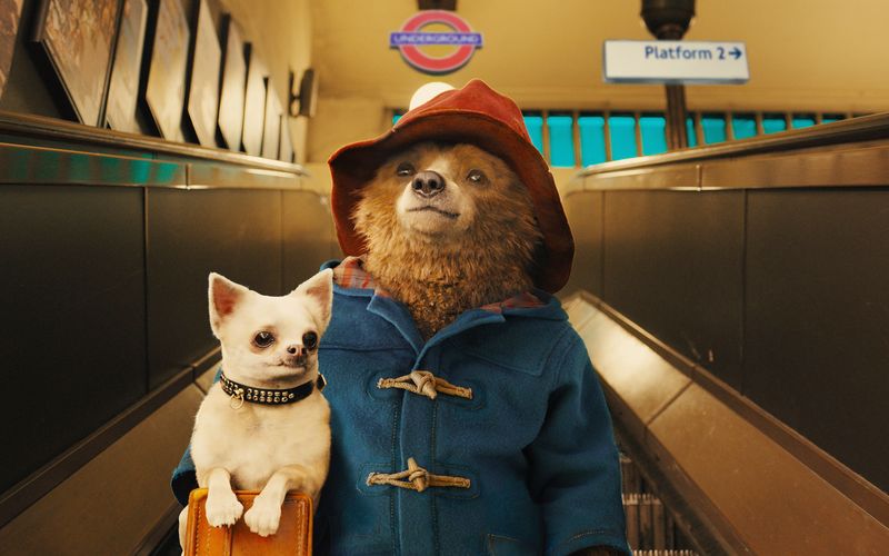 Paddington