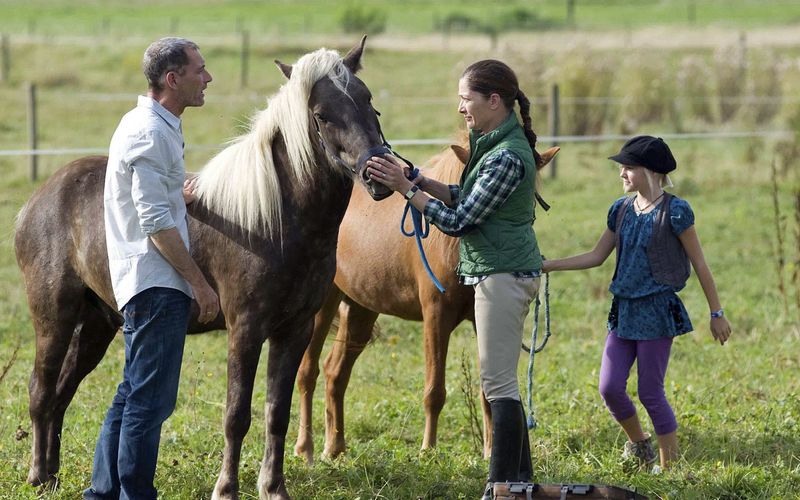 Tiere bis unters Dach