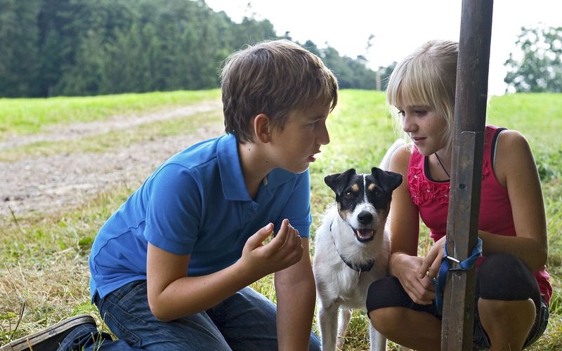 Tiere bis unters Dach