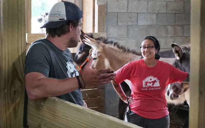 Animal Farm Michigan - Zuflucht für Tiere