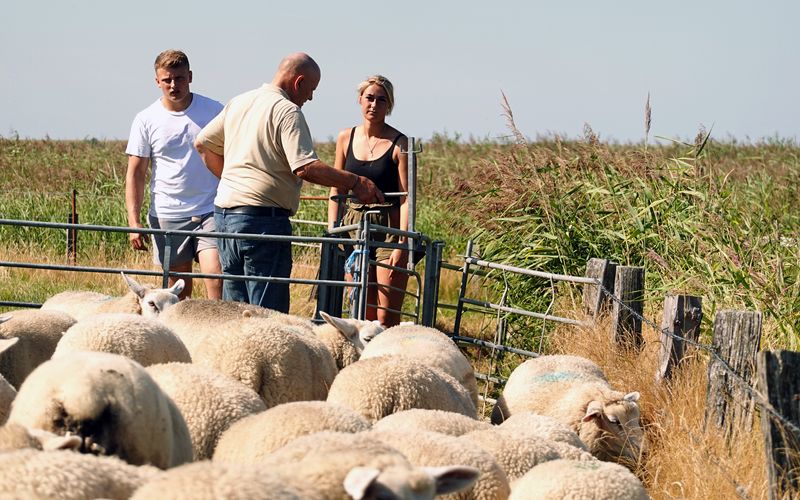 Sylt - Deutschlands edles Nordlicht