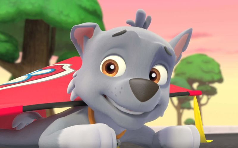 Paw Patrol: Helfer auf vier Pfoten