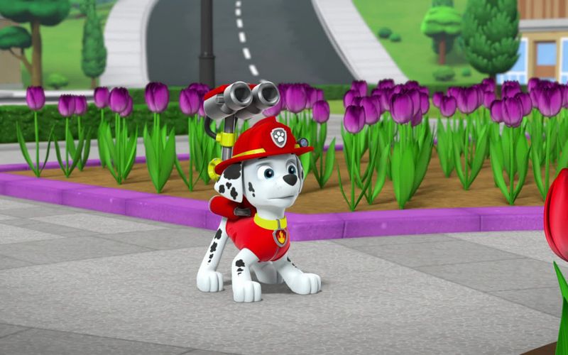 PAW Patrol - Helfer auf vier Pfoten