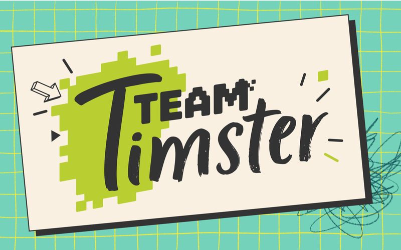 Team Timster - Spotify und Minecraft