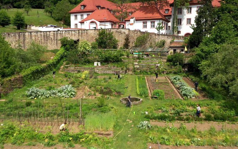 Gemeinsam gärtnern - Erlebnisse in Baden-Württemberg