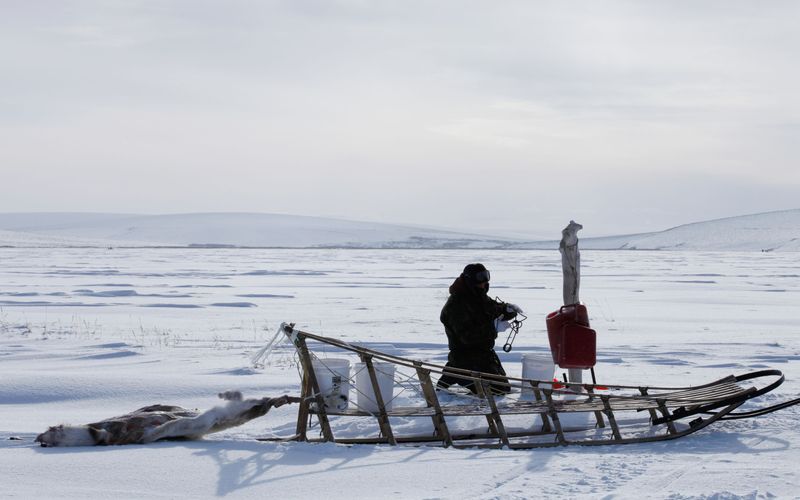 Life Below Zero - Überleben in Alaska