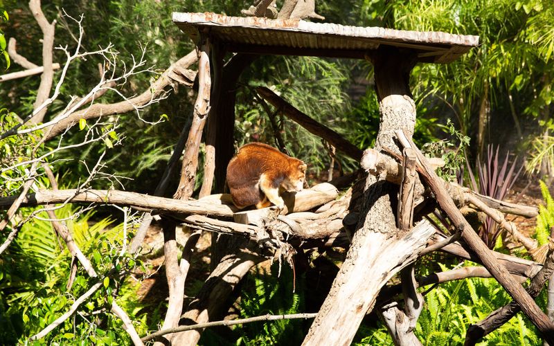 San Diego Zoo