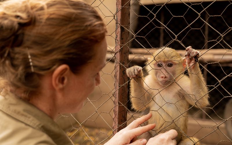 Malawi Wildlife-Rescue