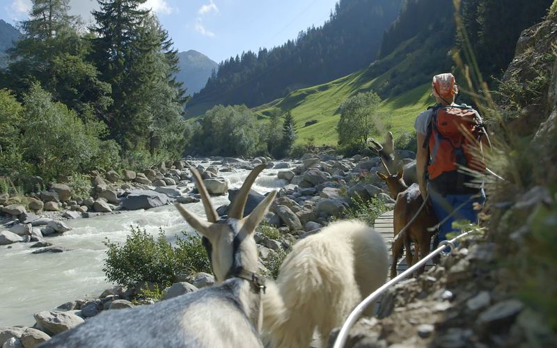 Schweizer Flussgeschichten