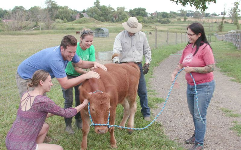 Animal Farm Michigan - Zuflucht für Tiere