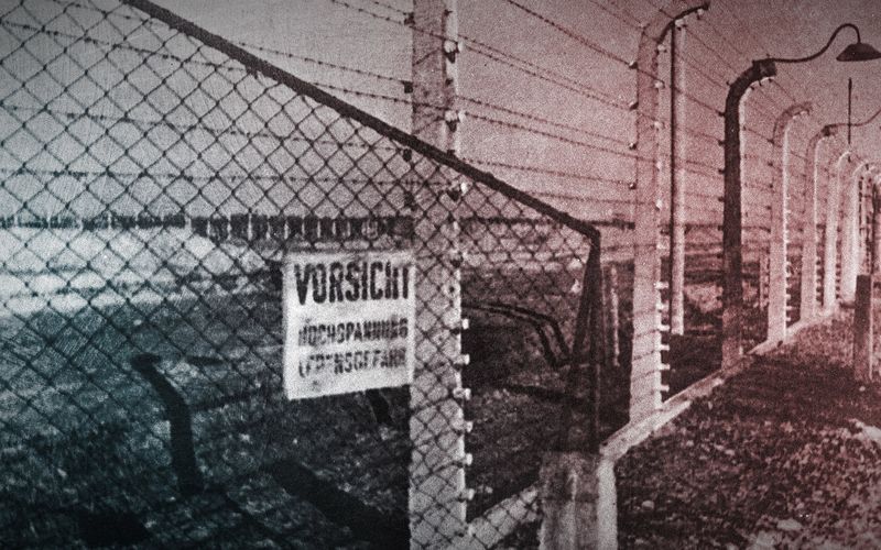 Krieg und Holocaust - Der deutsche Abgrund