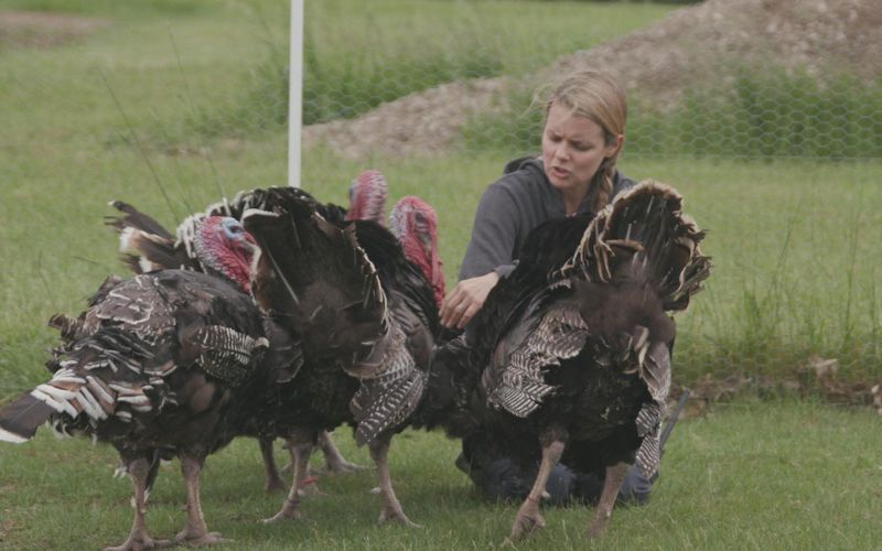 Animal Farm Michigan - Zuflucht für Tiere