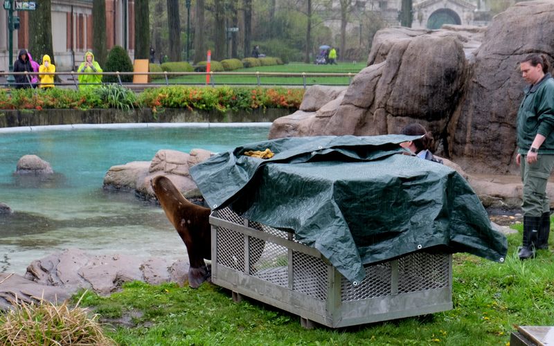 Bronx Zoo - Tierpark der Superlative