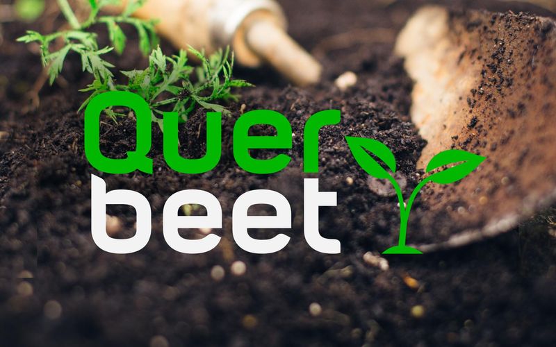 Querbeet