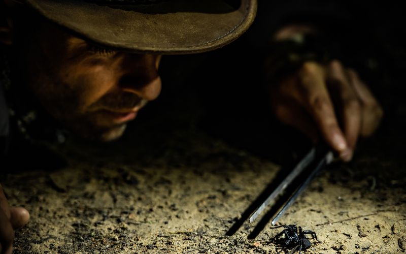 Faszinierende Tierwelt mit Coyote Peterson