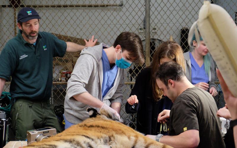 Bronx Zoo - Tierpark der Superlative