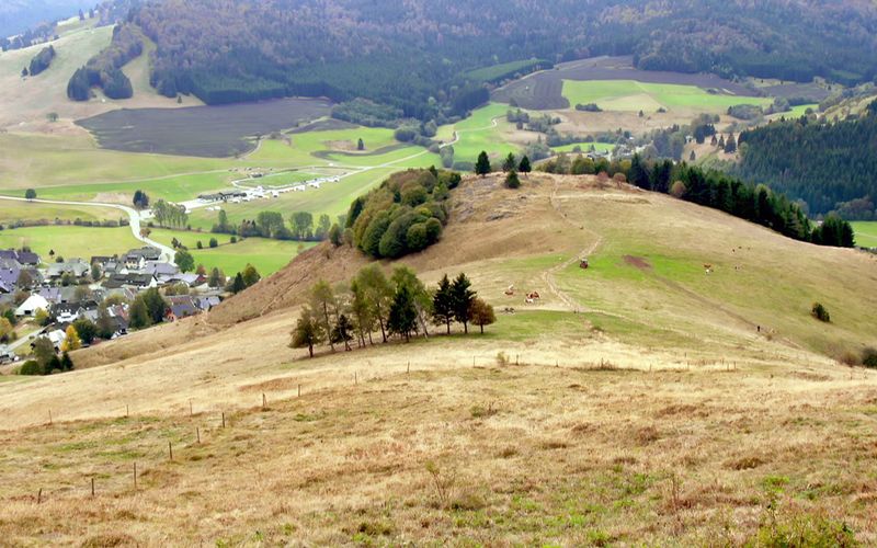 Feste und Bräuche auf dem Land - Erinnerungen aus dem Südwesten