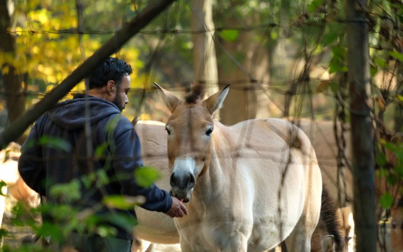 Bronx Zoo - Tierpark der Superlative