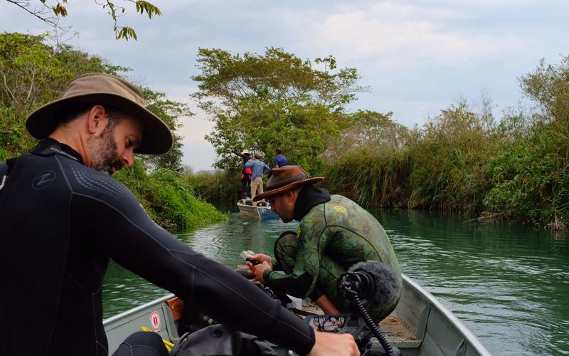 Faszinierende Tierwelt mit Coyote Peterson