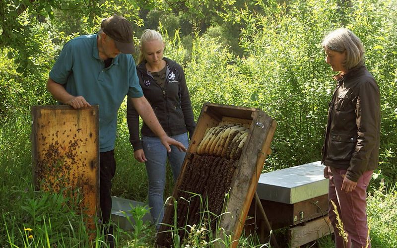 Die Bienenflüsterer