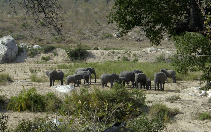 Wasserwelt Afrika