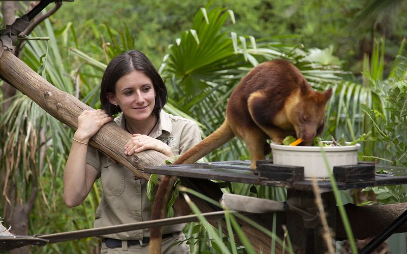 Die Superkräfte der Tiere