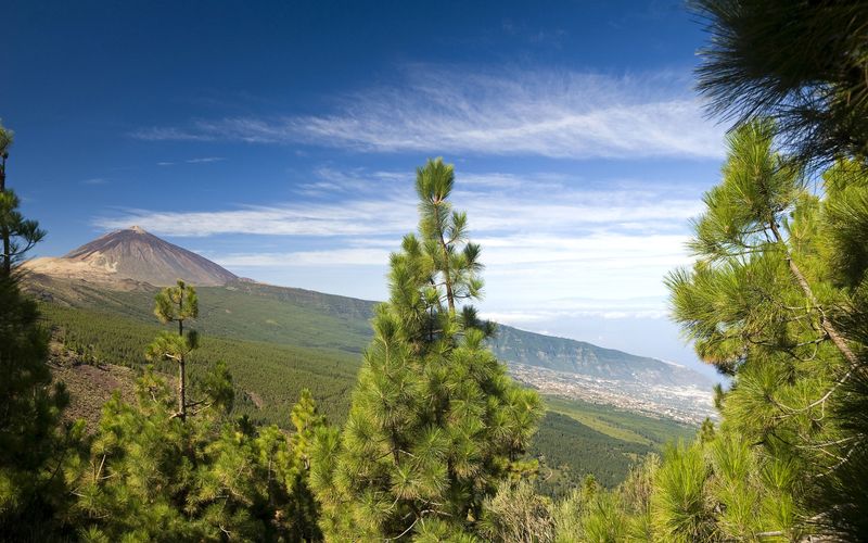 Nachhaltig unterwegs auf Teneriffa