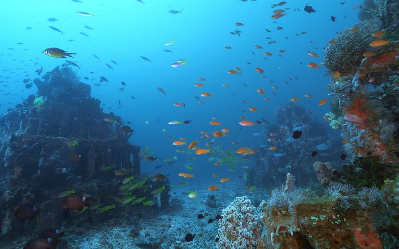 Into the Blue - Indonesiens Unterwasserparadiese