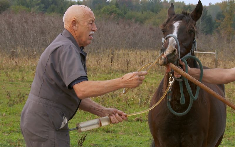 Der unglaubliche Dr. Pol