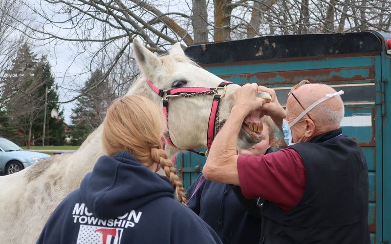 Der unglaubliche Dr. Pol