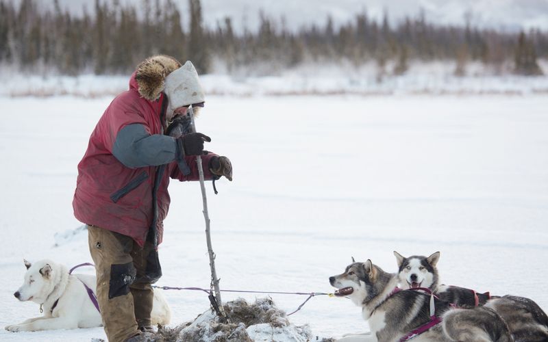 Life Below Zero - Überleben in Alaska