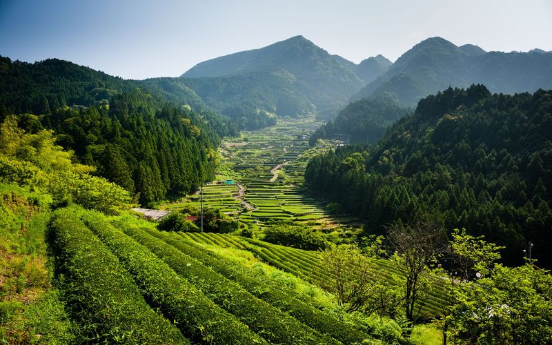 Wildes Japan - Land der tausend Inseln