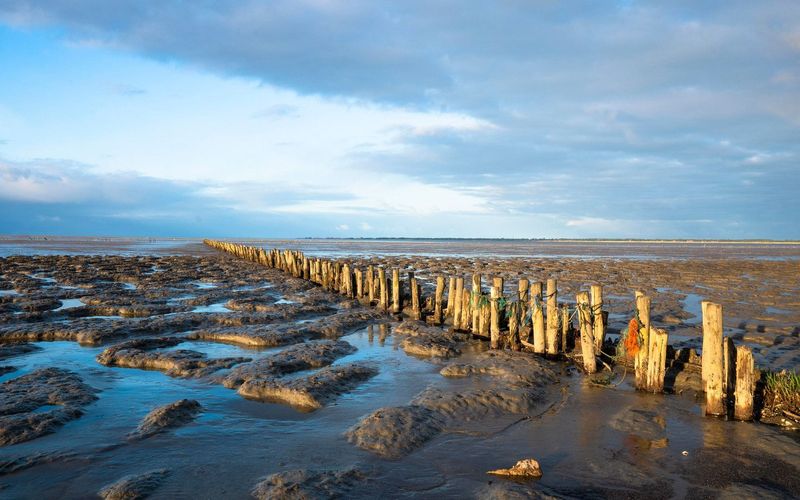 Planet Wissen - Weltnaturerbe Wattenmeer - Wild und wunderschön