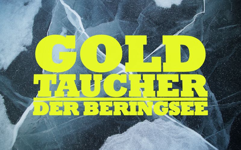 Goldtaucher der Beringsee