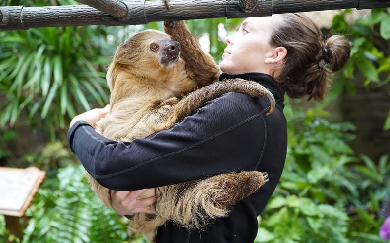 Die Superkräfte der Tiere