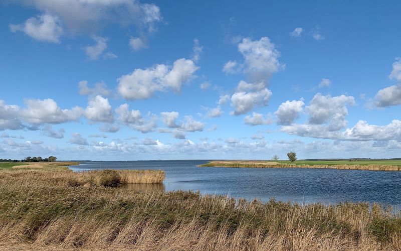 Die Ostsee, Sehnsuchtsort der Kraniche