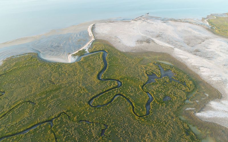 Mexikos magische Tierwanderungen