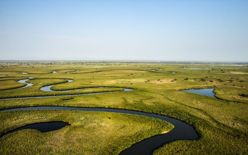 Okawango - Fluss der Träume