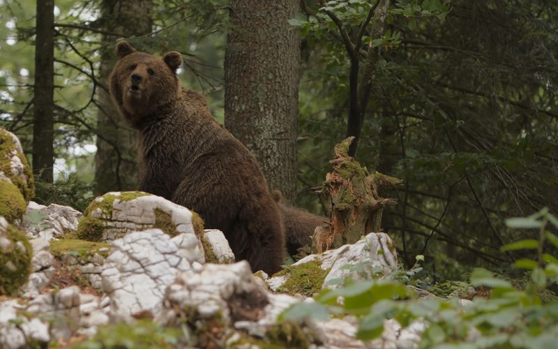 Schätze der Natur