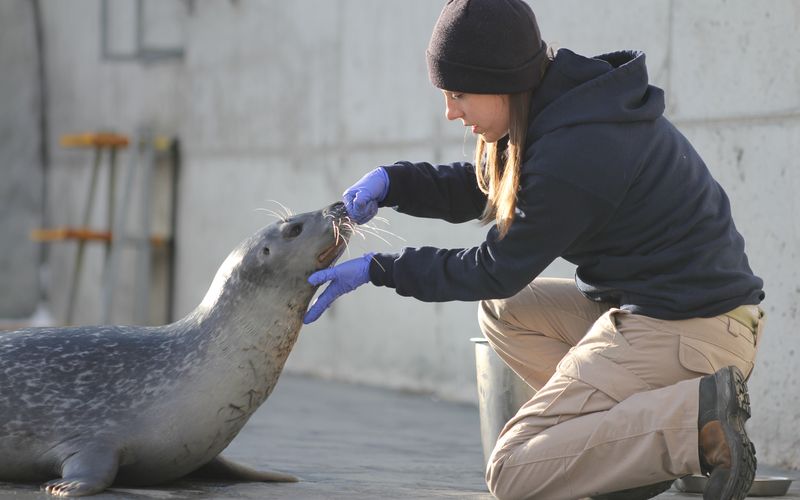 Unsere Helden: Die Tierärzte in der Arktis